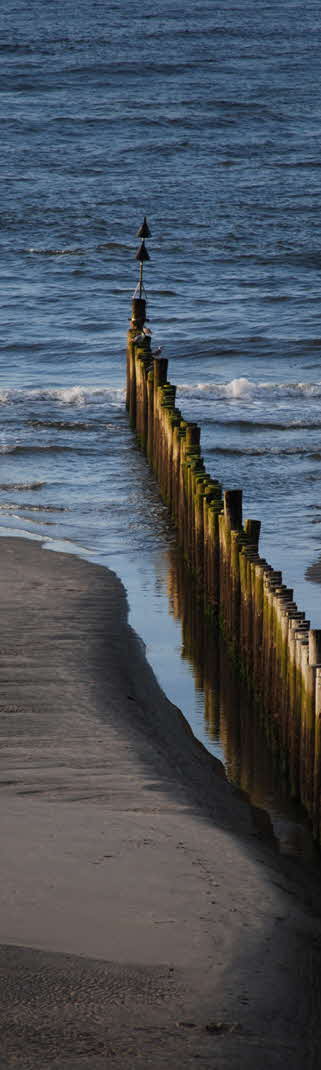 Buhne am Hauptstrand