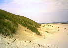 Dne beim Hauptstrand