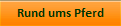 Rund ums Pferd