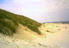D�ne beim Hauptstrand